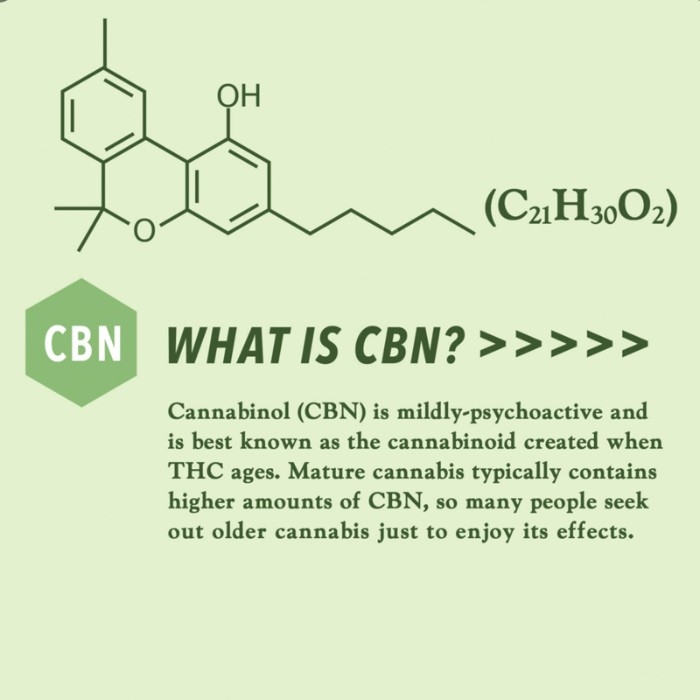 What Is CBN And What Are The Benefits Of This Cannabinoid? | MCDSA